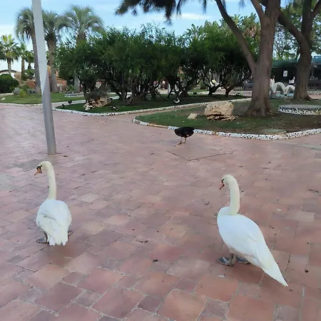 Lägenhet Marina Dort Acapulco Ii
